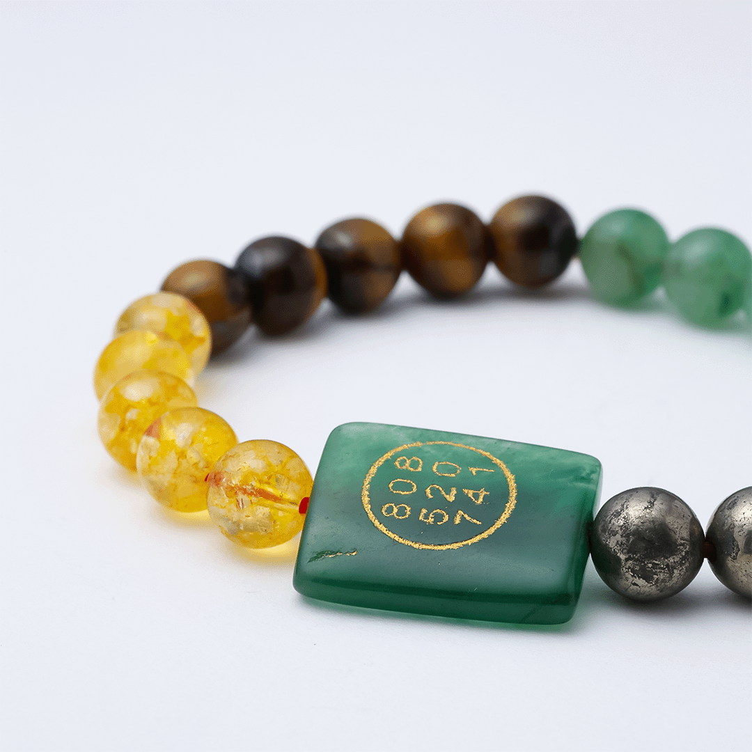 Zibu Money Coin Bracelet